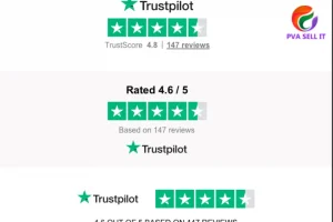 How to Verify Your Review on Trustpilot