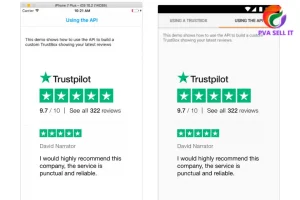 How Can I Dispute a Trustpilot Review
